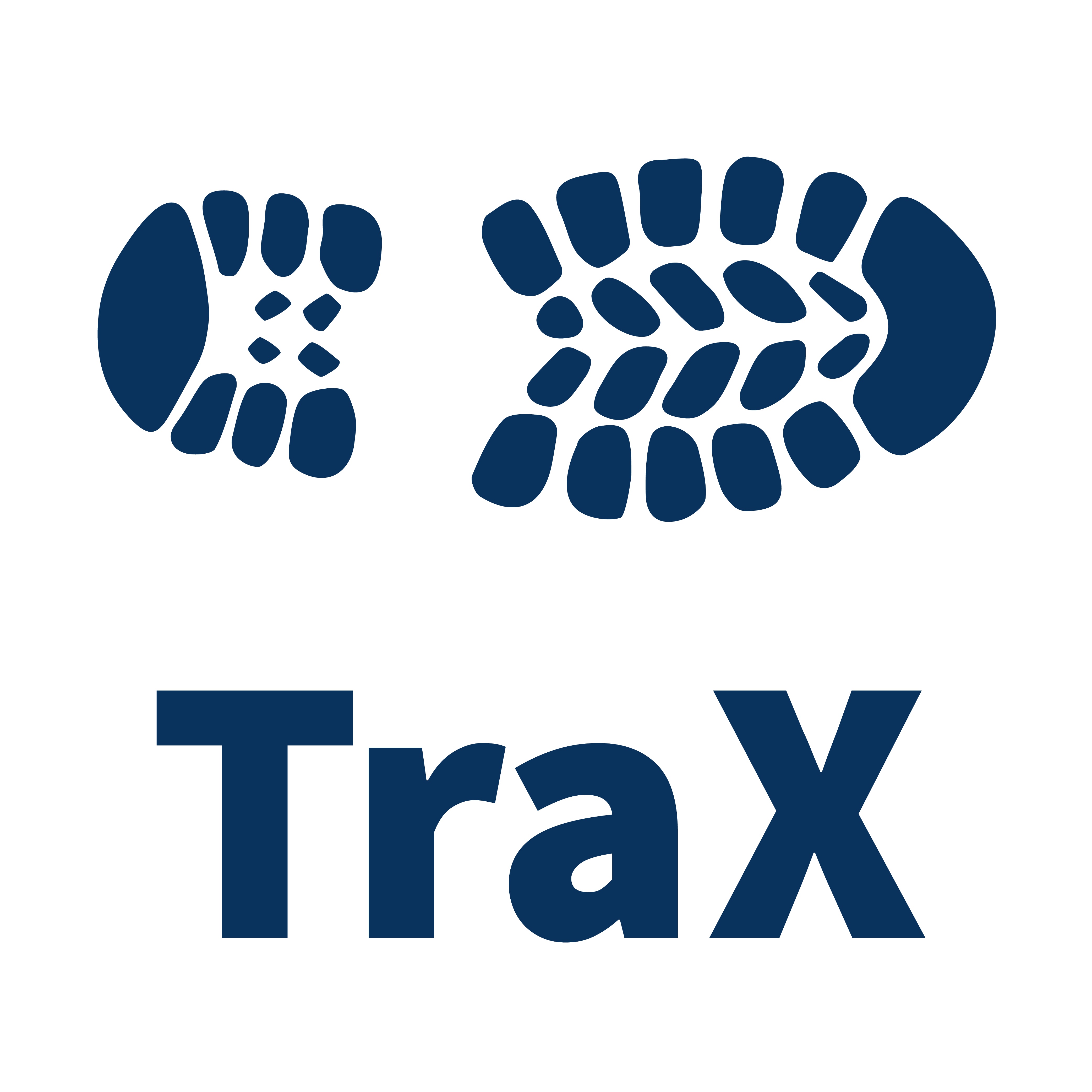 TraX Logo